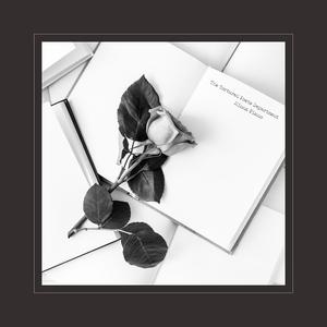 沈娜娜mv最新集在线观看
