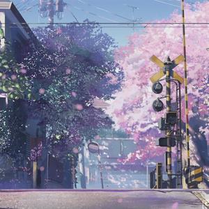 沈娜娜mv最新集在线观看
